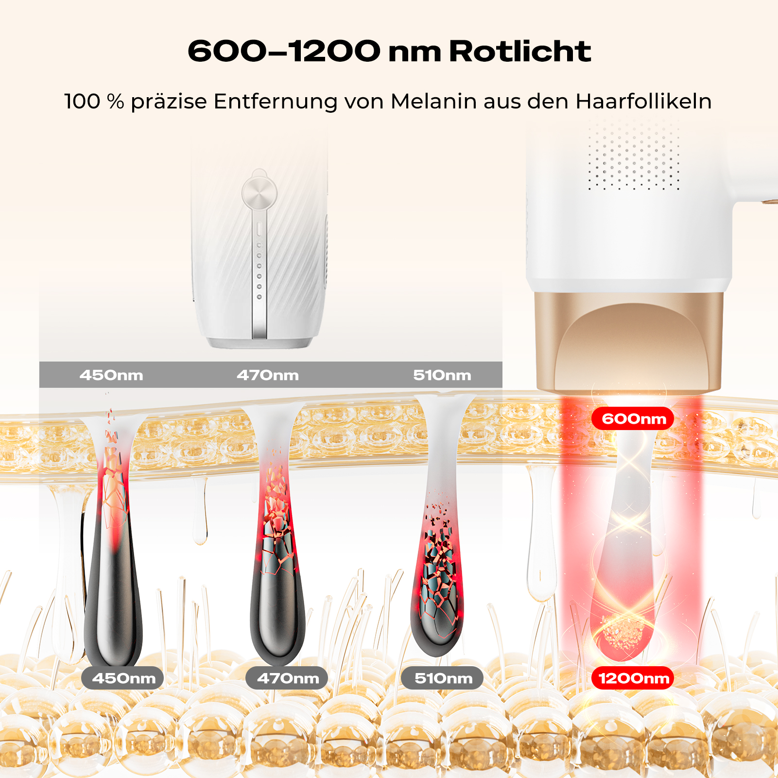 Click to enlarge the image